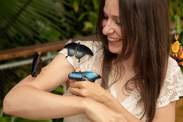 Audiopozvánka: Jedovatí motýli v Botanické zahradě v Praze pouze do 18. července!