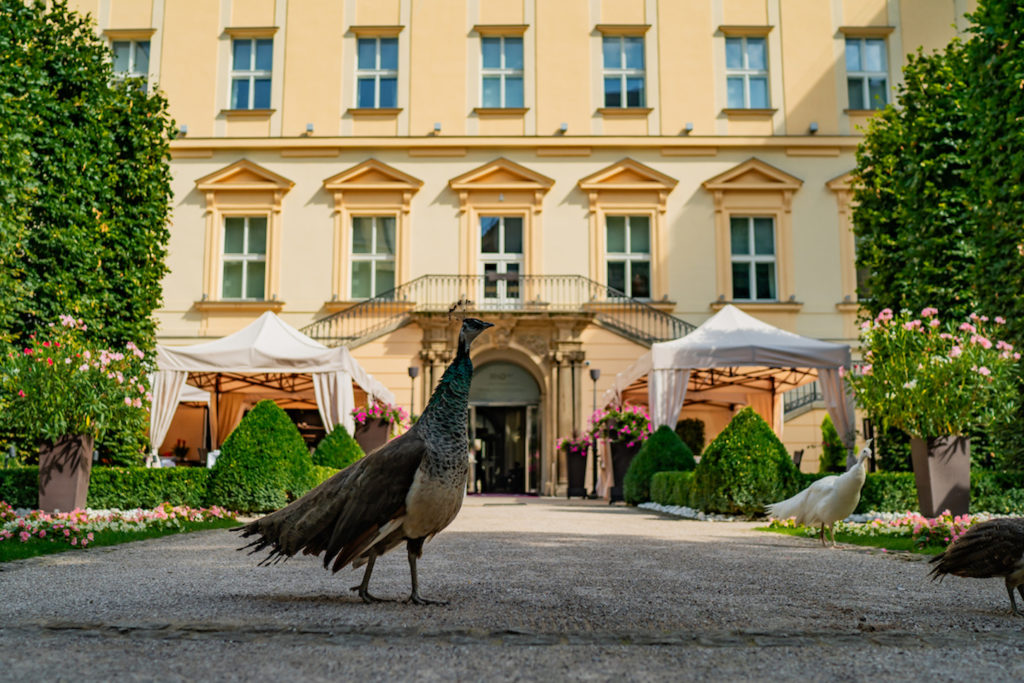 15 let luxusu a elegance: Oslnivá cesta hotelu The Grand Mark Prague