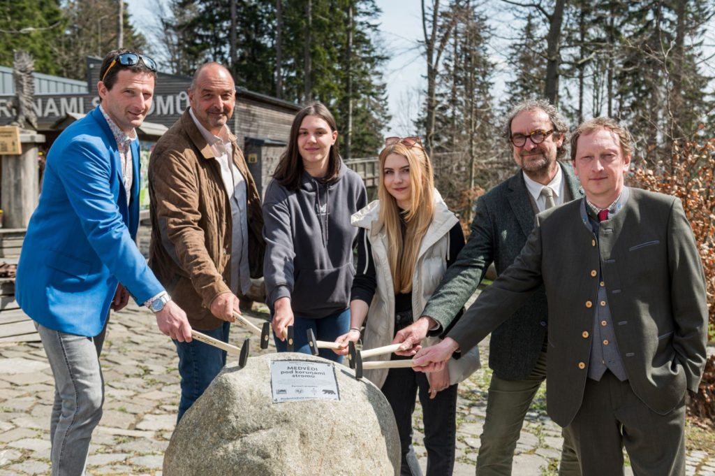 Medvědi míří do Krkonoš do blízkosti Stezky korunami stromů v Janských Lázních