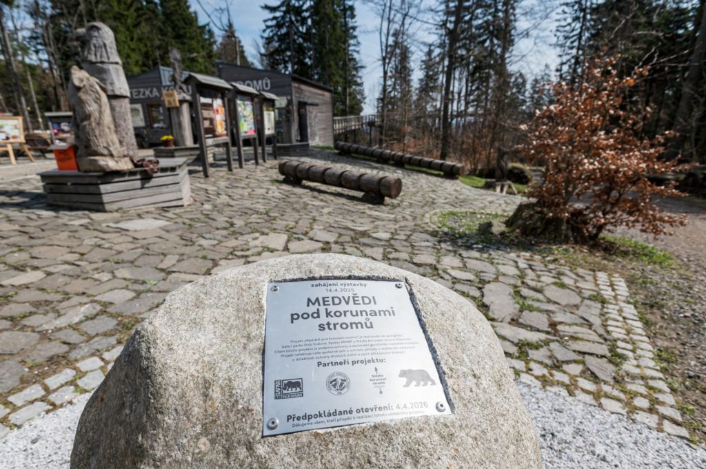 Medvědi míří do Krkonoš do blízkosti Stezky korunami stromů v Janských Lázních