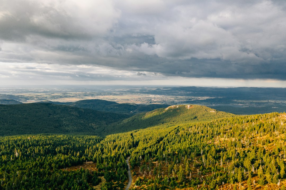 Podzimní stromy v horské krajině; ilustrační fotografie
